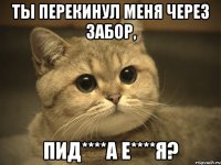 ты перекинул меня через забор, пид****а е****я?