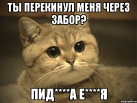 ты перекинул меня через забор? пид****а е****я