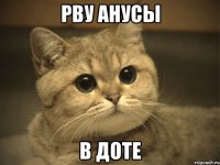 рву анусы в доте