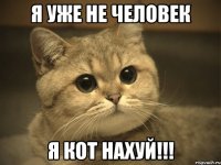 я уже не человек я кот нахуй!!!