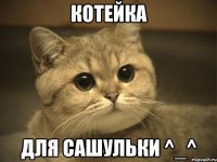 котейка для сашульки ^_^