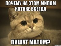 почему на этом милом котике всегда пишут матом?