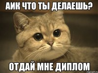 аик что ты делаешь? отдай мне диплом