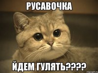 русавочка йдем гулять???