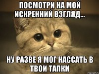 посмотри на мой искренний взгляд... ну разве я мог нассать в твои тапки