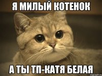 я милый котенок а ты тп-катя белая