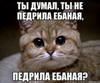 ты думал, ты не педрила ебаная, педрила ебаная?