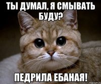 ты думал, я смывать буду? педрила ебаная!