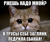 ржешь надо мной? в трусы себе загляни, педрила ебаная!