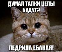 думал тапки целы будут? педрила ебаная!