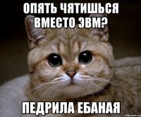 опять чятишься вместо эвм? педрила ебаная