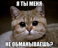 я ты меня не обманываешь?