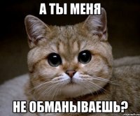 а ты меня не обманываешь?