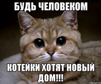 будь человеком котейки хотят новый дом!!!