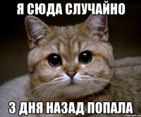 я сюда случайно 3 дня назад попала