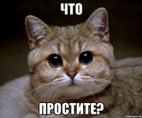 что простите?