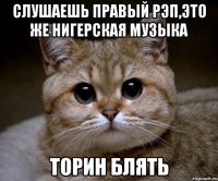 слушаешь правый рэп,это же нигерская музыка торин блять