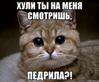 хули ты на меня смотришь, педрила?!