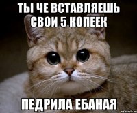 ты че вставляешь свои 5 копеек педрила ебаная