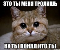 это ты меня тролишь ну ты понял кто ты