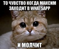 то чувство когда максим заходит в whatsapp и молчит