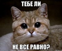 тебе ли не все равно?