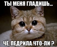 ты меня гладишь... чё, педрила что-ли ?