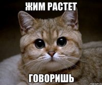 жим растет говоришь