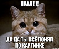 паха!!! да да ты всё понял по картинке