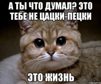 а ты что думал? это тебе не цацки-пецки это жизнь