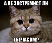 а не экстремист ли ты часом?