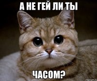 а не гей ли ты часом?