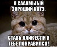 я сааамыый зороший котэ. ставь лайк если я тебе понравился!