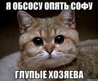 я обсосу опять софу глупые хозяева