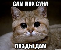 сам лох сука пизды дам