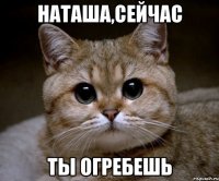 наташа,сейчас ты огребешь