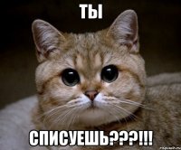 ты списуешь???!!!