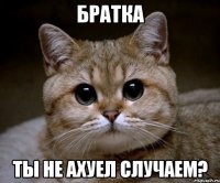 братка ты не ахуел случаем?