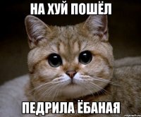 на хуй пошёл педрила ёбаная