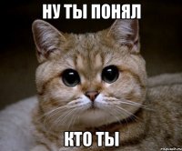 ну ты понял кто ты