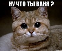 ну что ты ваня ? 