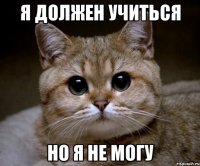 я должен учиться но я не могу