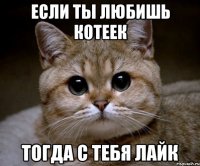 если ты любишь котеек тогда с тебя лайк