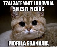 tzai zatemnit lobovaia sh esti pizdos pidrila ebannaia