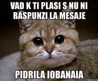 vad k ti plasi s nu ni raspunzi la mesaje pidrila iobanaia