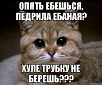 опять ебешься, педрила ебаная? хуле трубку не берешь???