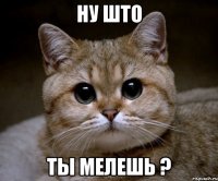 ну што ты мелешь ?