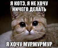 я котэ, я не хочу ничего делать я хочу мурмурмур