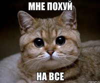 мне похуй на все