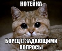 котейка борец с задающими вопросы